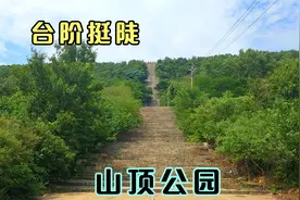 游览平顶山山顶公园，登山的台阶挺陡的，登到山顶俯瞰平顶山市区