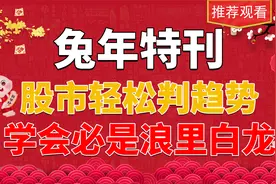 民间高手炒股多年心血；股市轻松判趋势 学会必是浪里白龙视频封面