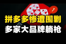 拼多多惨遭围剿，官方被逼下架，几十家品牌遭炸店，谁是推手？视频封面