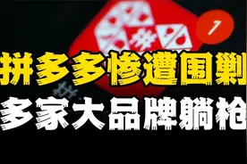 拼多多惨遭围剿，官方被逼下架，几十家品牌遭炸店，谁是推手？视频封面