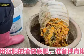楼顶种菜：用沤肥的渣这样做底肥，准备种青椒，分享埋底肥全过程视频封面