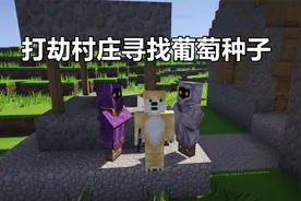 我的世界：萌新生存 09 打劫村庄寻找葡萄种子