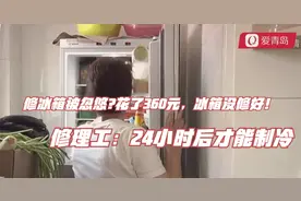 修冰箱被忽悠?花了360元，冰箱没修好！修理工：24小时后才能制冷视频封面