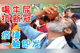 印度喝牛尿抗新冠，疫情真实情况到底怎样？为何说印度才是黑洞？视频封面