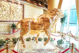 100元门票的华西村大金牛，一吨黄金重，价值3亿，还是公的视频封面