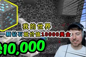我的世界：主播的趣味挑战，砸掉鸡蛋孵出小鸡，就能得到1万美金视频封面