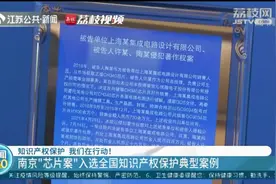 南京“芯片案”入选全国知识产权保护典型案例视频封面