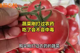 吃了刚打过农药的蔬菜，会不会中毒