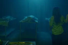 收容所里的女孩，长大后就失踪了，原来在这里视频封面