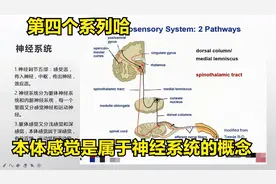 你不知道的肌骨小知识-本体感觉究竟是什么视频封面