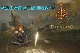 艾尔登法环mod-死或生忍者霞~添加物理马尾，比原来看的顺眼多了视频封面