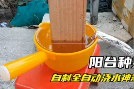 废旧水瓢塑料瓶不要扔，把它做成自动浇水神器，在家种菜太方便了视频封面