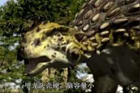 中文字幕《与恐龙同行 Walking With Dinosaurs》E06恐龙王朝覆灭
