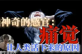 从无痛到十级疼痛，人类承受的极限是什么？为什么我们会有痛觉视频封面