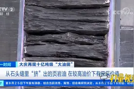 从石头缝里“挤”出的页岩油，在较高油价下有开采价值|第一时间视频封面