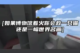 如果博物馆着火你会先救世界名画还是先救猫视频封面