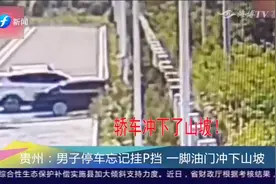 太吓人！男子停车忘记挂P挡，一脚油门宝马车冲下山坡视频封面