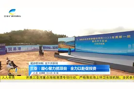 三亚：凝心聚力抓项目 全力以赴促投资视频封面