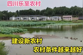 四川美丽新农村，建的房子整齐又漂亮，以后的村庄会不会都是这样视频封面