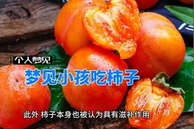 梦见小孩吃柿子视频封面
