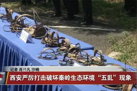 西安严厉打击破坏秦岭生态环境“五乱”现象视频封面