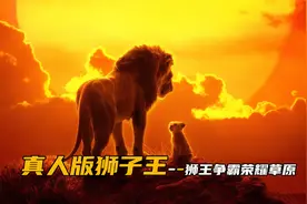 狮子王真人版：辛巴王者归来，争霸荣耀草原！视频封面