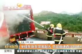 陕西汉中：大车突然自燃，消防全力扑救，导致京昆高速堵车3小时视频封面