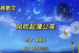 经典散文《风吹起蒲公英》，作者顾晓蕊，至纯至真的人间大爱视频封面