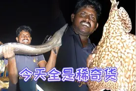 印度渔民海钓：天黑渔获多，电鳐、巨型海鳗、各种鲷鱼满载而归！视频封面