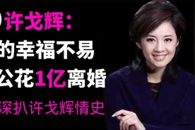 许戈辉想嫁默多克没成，只能给人家打工，二婚老公为她花一亿离婚视频封面