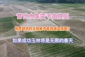 严重缺水的玉林没有办法吗？挖运河还是人工降雨？你们认为呢？视频封面