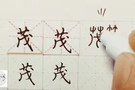 硬笔千字文精讲“茂” 字怎么写 详细讲解 练字以后原创