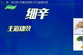 中药-细辛的主治功效