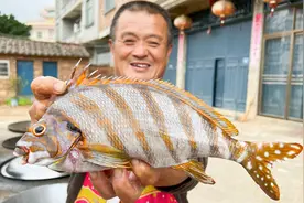 1160买5条罕见三刀鱼，吃第一口就被惊艳到，不愧为香港鱼王视频封面