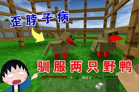 生存战争野人岛161：驯服两只野鸭，难道得了歪脖子病？视频封面