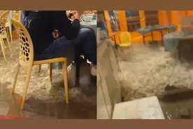 超淡定！舟山海浪涌入一家大排档，顾客淡定自若坐水里吃喝视频封面