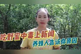新闻曝光吃野蜂蜜中毒，那养蜂人的蜂蜜会中毒吗？养蜂内行来揭秘