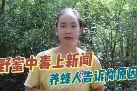新闻曝光吃野蜂蜜中毒，那养蜂人的蜂蜜会中毒吗？养蜂内行来揭秘视频封面