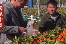 河南13岁少年帮父母摆摊，做事老成口齿伶俐，顾客夸他会成大老板视频封面