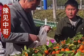 河南13岁少年帮父母摆摊，做事老成口齿伶俐，顾客夸他会成大老板视频封面