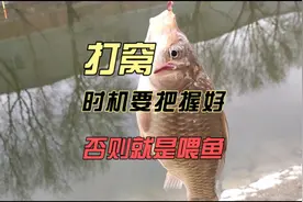 到河边钓鱼一上来就打窝，十有八九都浪费了，春钓打窝要注意时机视频封面