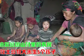 尼泊尔偏远山村的贫困农民，一家人住在土房里，吃土豆大米生五娃视频封面