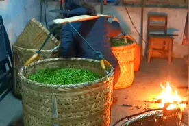 教大家如何制作绿茶，很多人都没见过，喝的茶叶原来是这样做的！