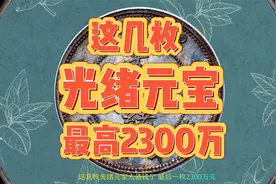 这几枚光绪元宝太值钱了，最后一枚2300万元。视频封面