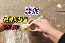 用蒜泥做诱饵抓鱼，这操作你见过么？气温回升河里小鱼又多了起来视频封面