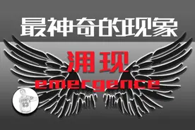 智慧是怎么来的，涌现告诉你：有的智慧不是智慧...