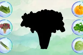 蔬菜知识：认识油麦菜，苋菜，木耳菜等蔬菜