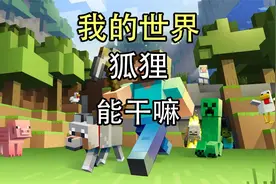 我的世界狐狸怎么训？我的世界狐狸能干嘛？我的世界狐狸的用处视频封面