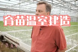 现代化育苗温室大棚配套移动苗床一个平方米多少钱视频封面