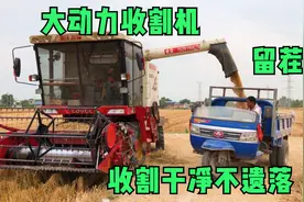 目前最先进国产收割机，收割干净效率高农民用过都夸好，来欣赏下